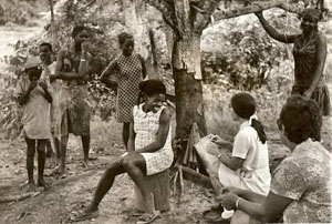 village Ekok-cameroun - J-Grégoire et Arbec